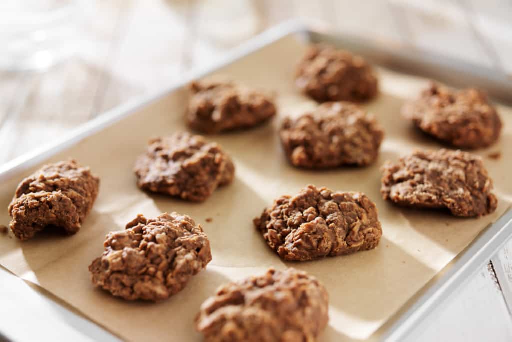 healthy dessert no bake cookies