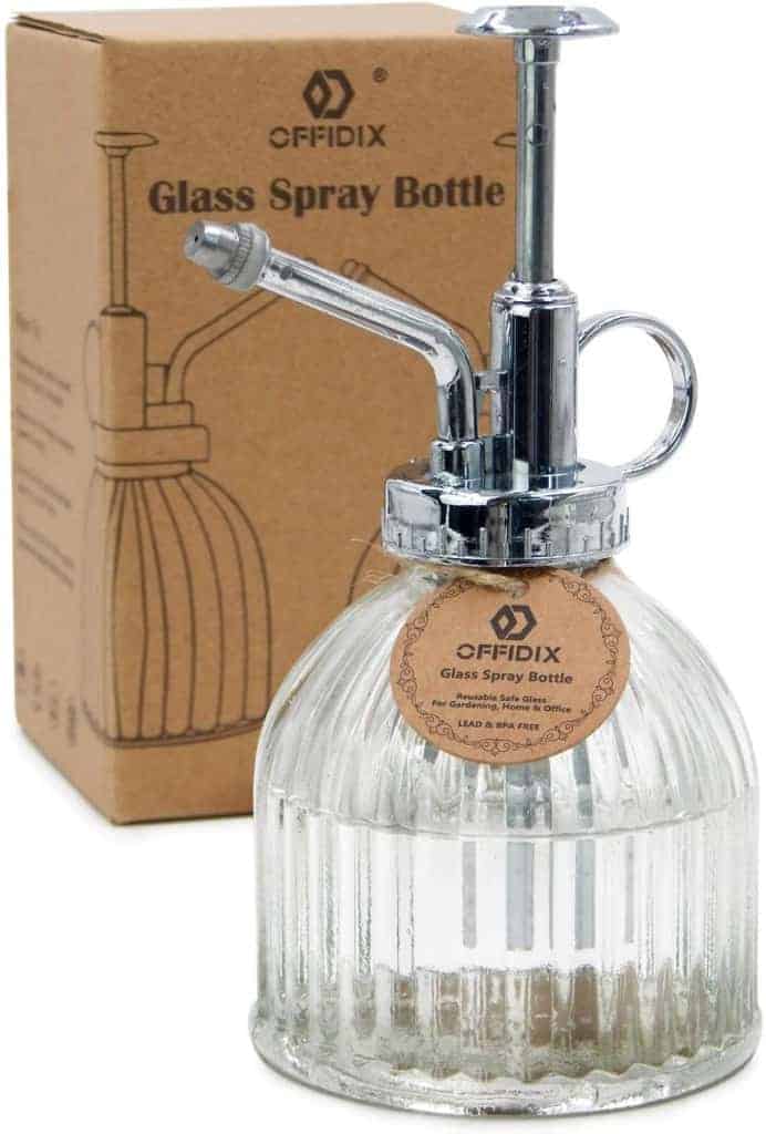 Glass Spray Bottle Gift for Plant Lovers