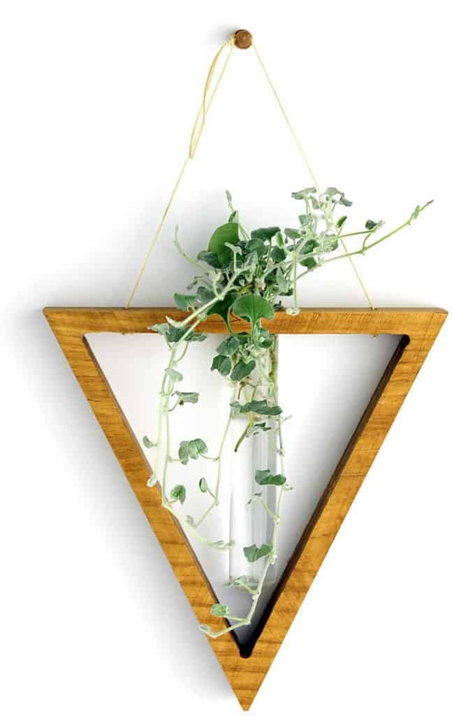 Plant Propagation Station - Gift for Plant Lovers