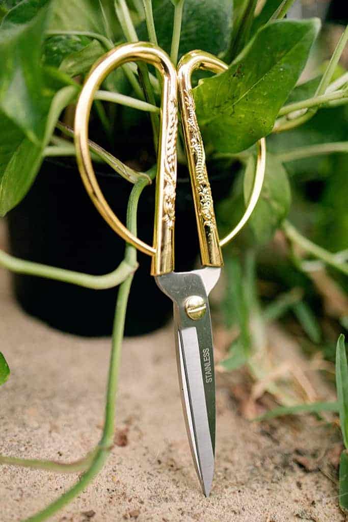 Plant Clippers