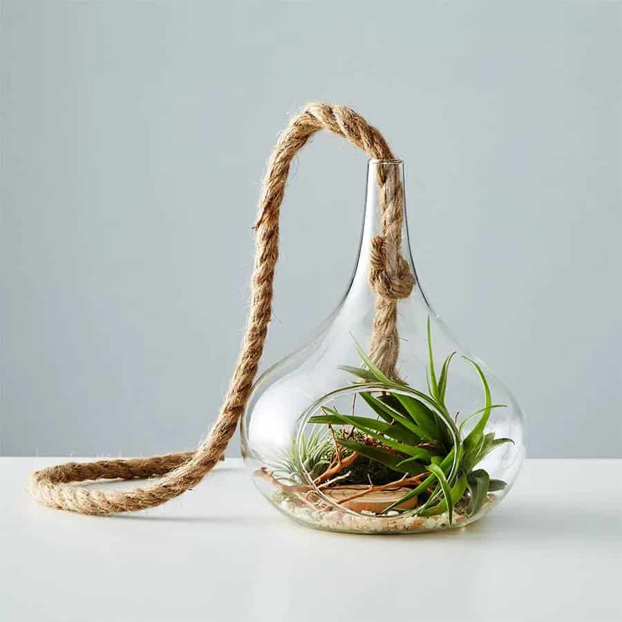 DIY Terrarium Kit - Gifts for Plant Lovers