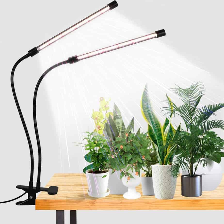 Indoor Plant Grow Lights