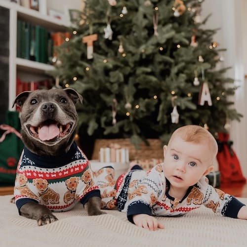 baby christmas dog costumes