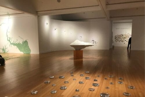 The Virginia MOCA - A Special Exhibition, Maya Lin's A Study of Water