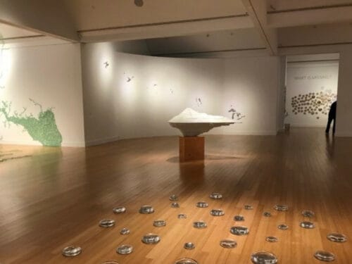 The Virginia MOCA - A Special Exhibition, Maya Lin's A Study of Water