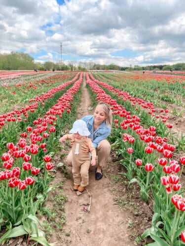 Feminine Traveling Mom Jennifer Balcarek tulips