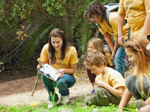 camp counselor summer jobs for teens